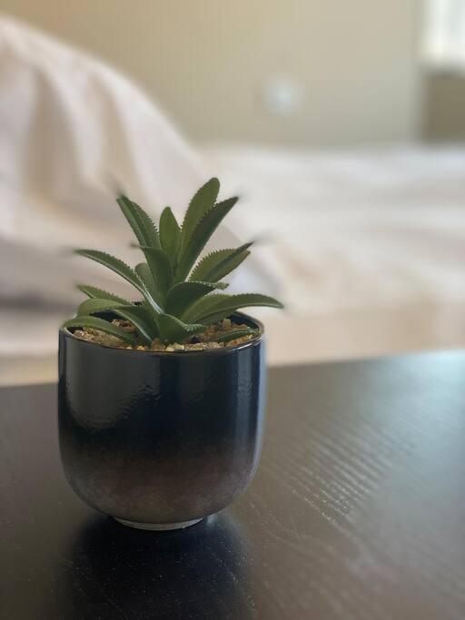 Prime Location! 1 Bedroom In Tlv Beating Heart