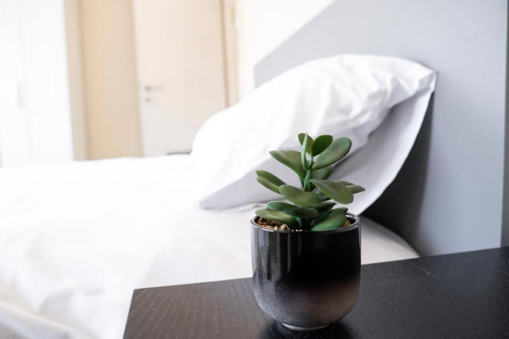 Prime Location! 1 Bedroom In Tlv Beating Heart * Tel Aviv-Jaffa